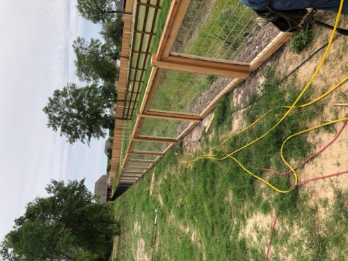 57887029051__E5AB2AAB-6F19-4C89-AA47-0B8AEBB23704